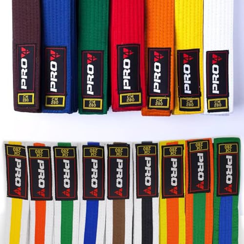 Pro4 Budo Gürtel 1 oder 2 farbig für Kampfsport Karate TKD Kickboxen Judo Jiu Jitsu 220 240 260 280 300 oder 320cm (blau, 300cm)