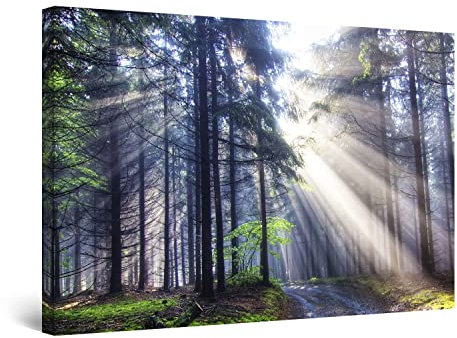Startonight Quadro su Tela Luce Nella Foresta, Grandi Quadri Natura Moderni Stampe Grande per Soggiorno Stampe Incorniciate 80x120 cm, Decorazione Parete, Idea Regalo Elegante Luminoso al Buio
