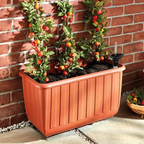 Coopers of Stortford - Wheeled Self Watering Tomato Planter with Casters - Patio Vegetable and Herb Grow Box, 40L Soil Capacity
