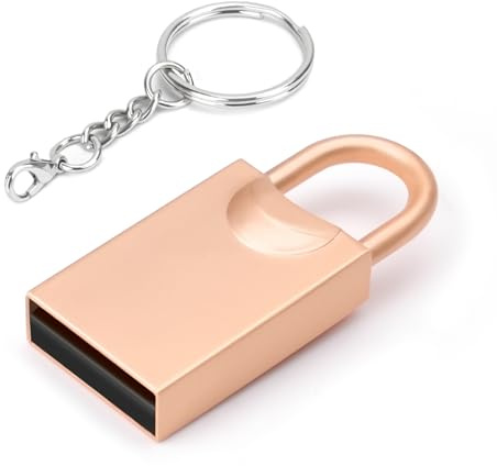 leizhan Clé USB 3.0, Mini clé USB, clé USB pour Voiture, clé USB avec Porte-clés pour PC, Ordinateur Portable, etc. (64GB, Serrures Dorées)