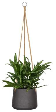 Finestgreen Hängendes Pflanzgefäß Patt Schwarz | Hängender Blumentopf zum bepflanzen | Urban Gardening Pflanzenampel