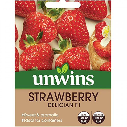 Unwins Strawberry Seeds - Delician