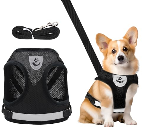 Verstellbare Brustgeschirr, Welpen Geschirr und Leine Sets, Hundegeschirr mit Leine Reflektierend, Reflektierende Verstellbare Katzen Weste, Hundegeschirr mit Leine für Kleine Hunde Katzen (S)