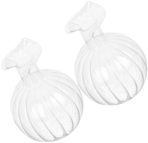 PRETYZOOM Lot De 2 Mini Vases Vintage en Verre À Jacinthe Contenants À Fleurs Décoratifs en Cristal Petits Vases Vintage