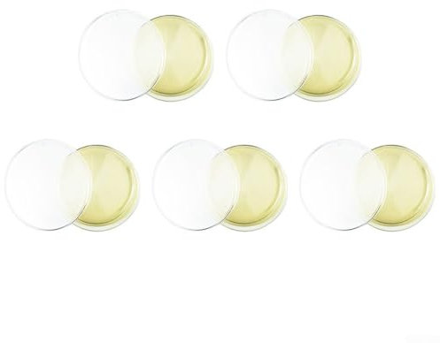 HpLive 5 kit di test della muffa per la casa, per il rilevamento della muffa fai da te per kit di rilevamento della muffa per rilevatore di muffe