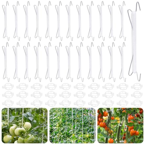 HGRGHH Tomatkrokar med rep, 25 metallkrokar för tomater med 30 växtspännen och 10 m rep, robusta tomatkrokar, stödkrok för tomatplantor, tomatställ för gurka för att hänga tomater, gurkor