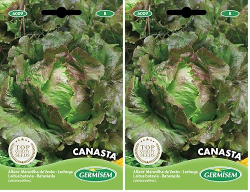 Germisem Canasta Semi di Lattuga 5 g (Confezione da 2)