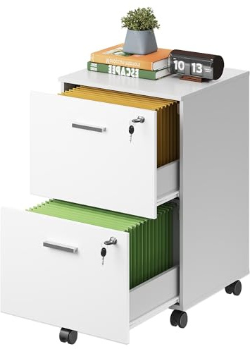 DEVAISE 2 Drawer Lockable Filing Cabinet for Home Office, Mobile File Cabinet with Individual Drawer Locks, Rolling Printer Stand with Hanging File Storage for A4 & Letter Files, White