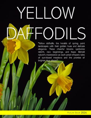 Yellow Daffodils: Cool Pictures & Amazing Facts of Yellow Daffodils - Coffee Table Book or Perfect Gift for Flowers Enthusiasts, and Nature lovers ....Relaxing & Meditation.