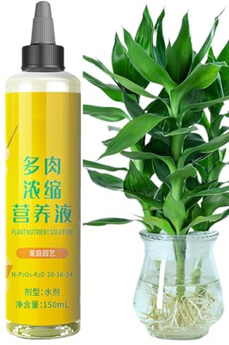 Plant Nutrient Solution – Liquid Fertilizer Formula Plants, Organic Growth Booster | Root Enhancer Leaf Support Outdoor, Garden Feed for Herbs Vegetables Flowering Houseplants Soil Health