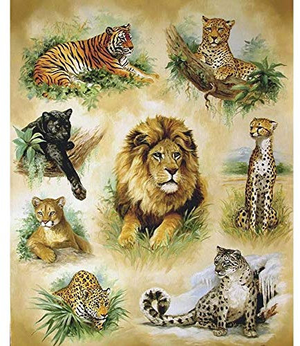 Puzzles 5000 Teile, Ballon Landschaft Rahmenpuzzle, Puzzle Spiel Geschenk, DIY Puzzle Würfel Alle Arten von wilden Tieren Impossible Puzzle, Geschenk Geschicklichkeitsspiel für die Ganze Familie