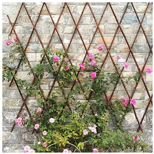Traliccio in bambù naturale con rivetti, pannello di recinzione espandibile per supporto per piante, utilizzato come piante rampicanti, divisori, decorazione da parete (colore: marrone, dimensioni
