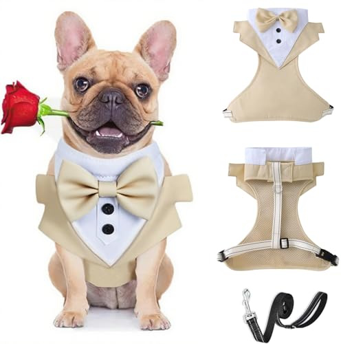 Harnais de smoking avec laisse pour chien – Gilet formel avec nœud – Harnais de mariage réglable pour chiot et chien de petite et moyenne taille _L (beige)