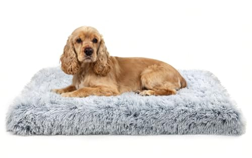 Letto per cani di taglia media, 75 x 50 x 8 cm, fodera rimovibile e lavabile, fondo antiscivolo, tappeto ortopedico in peluche, cuccia o utilizzo in gabbia