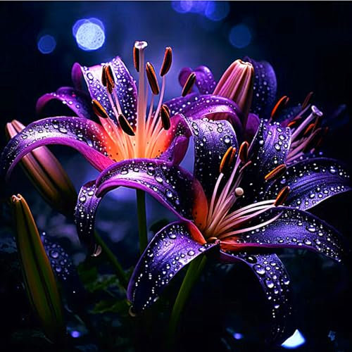 Lilienzwiebeln,Duftende BlüTen,Zarte,Lilien Knollen Winterhart,Lilien Pflanze,Zwiebelblumen,Winterhart MehrjäHrig,Lilien Zwiebeln Winterhart,Lilium Asiaticum,Winterhart-2Zwiebeln-E