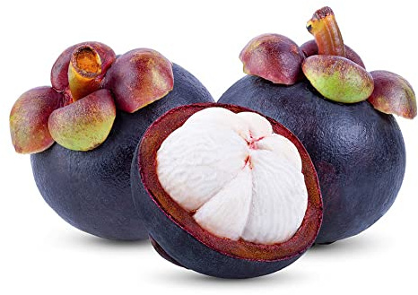 semi di mangostano, da frutto colonnari per giardinieri esotico frutto colonnare comprare da nani, resistenti colonnari balcone frutteto mangostano 18pcs