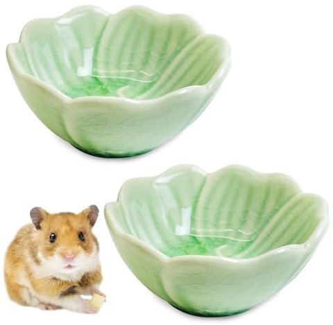 BNOSDM 2 Pcs Hamster Ceramic Food Bowl Flower Series Gerbil Drinking Bowls Anti-Turning Food & Water Dish for Dwarf Syrian Hamsters Gerbil Chinchilla(Green, Narcissus Pattern)