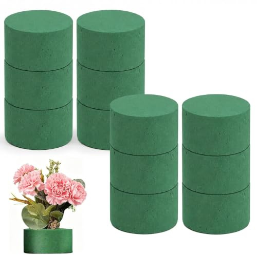 Plumaire 12 stycken plug-in skum rund 8 x 4 cm blomsticksskum för färska blommor och konstgjorda blommor plug-in svamp för blommor pyssel bröllop bordsdekoration blommor skum grön