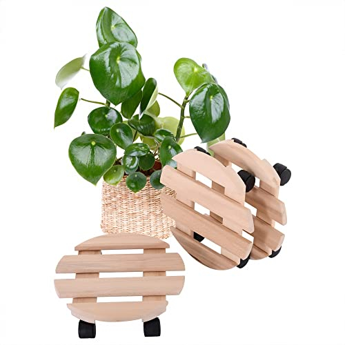 Raburg 3er Set Pflanzenroller BENJO, Buchenholz massiv, rund, 30 cm Durchmesser, Tragfähigkeit 120 kg, stabile Rolluntersetzer für Pflanzen, Kübel & Blumentöpfe, 4 x 360° Doppel-Kunststoffrollen