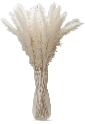 Intirilife Pampasgras 30 Stück Weiß - 45 cm - Natürlicher Trockenblumen Strauß, weiches Schilfgras Wedel- Boho Deko, Hochzeit, Geburtstag, Schlafzimmer, Wohnzimmer
