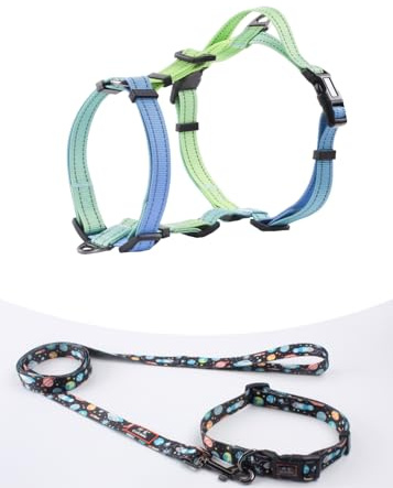 Cosyhome Small Dog Harness and Leash Set, No Pull Dog Halter Harnesses