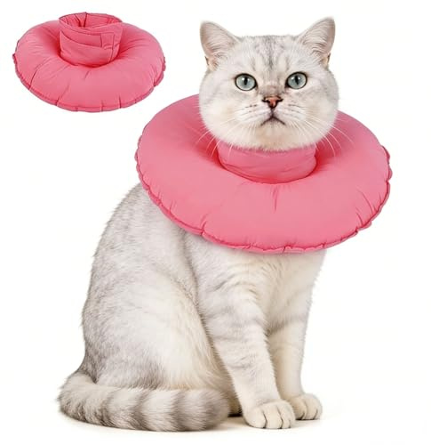 Hjyokuso katt konkrage