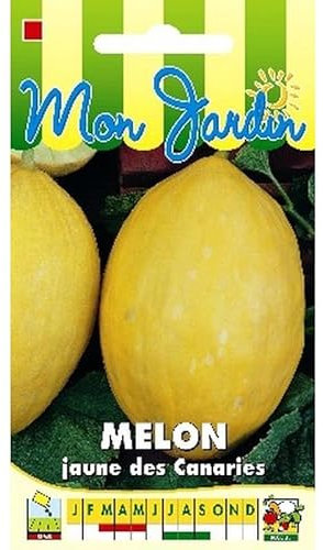Sachet de graines de Melon Jaune des Canaries - 3 g - légume fruit - LES GRAINES BOCQUET