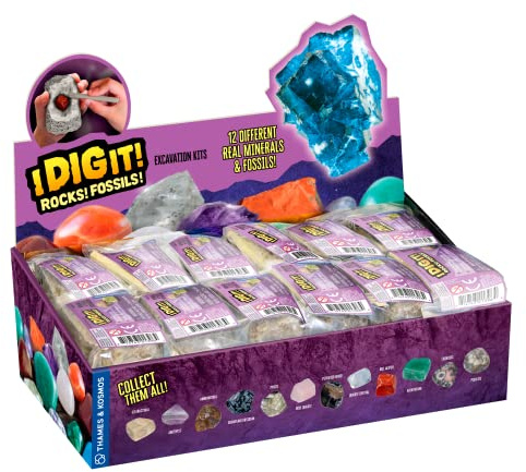 Thames & Kosmos I Dig It! Rocks & Fossiles Coffret Cadeau d'excavation | 24 Kits d'excavation avec spécimens minéraux et fossiles | Cadeaux de fête, Cadeaux de Noël, paniers de Pâques | Collectionnez