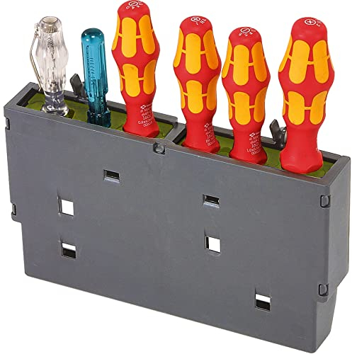 Raaco ToolFix Grand - Boîte pour Panneau Mural Perforé, Capacité 6 Gros Outils, PP & Élastomère Thermoplastique, Organisation du Garage avec Crochet Solide