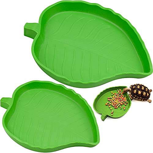 YUENX 2 Pièces Bol d'eau de Nourriture Abreuvoir Tortue Plat de Reptile pour Petits Animaux domestiques, Lézard, Araignée, Scorpion (Vert)