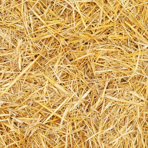 Natural Wheat Straw – 1 LB Clean, Soft, and Dry Bale for Cats, Dogs, Farm Animals, Garden Mulch, and Lawn Cover