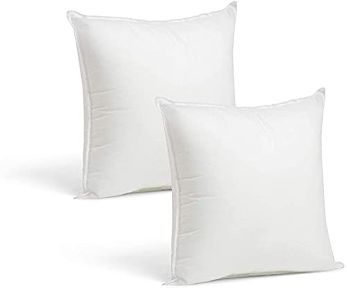 VIGIVISION Relleno cojin 2 Unidades - Relleno Suave y Esponjoso Que no se deforma - para Combinar con Cualquier Funda de cojín - Medidas cojin - 45x45cm