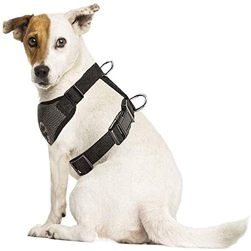 SlowTon Hundegeschirr für Hunde, No Pull Sicherheitsgeschirr Kleine Mittlere Hunde Brustgeschirr Dog Harness Weich Gepolstert Atmungsaktiv