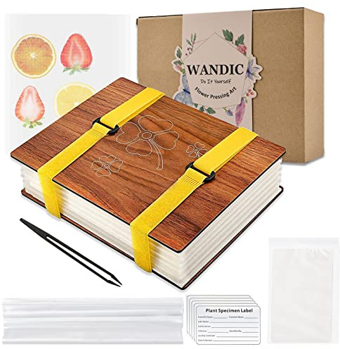 WANDIC Kit de presse à fleurs en forme de trèfle à quatre feuilles en bois - Presse à fleurs et fruits - Kit pour loisirs créatifs - Apprentissage en plein air