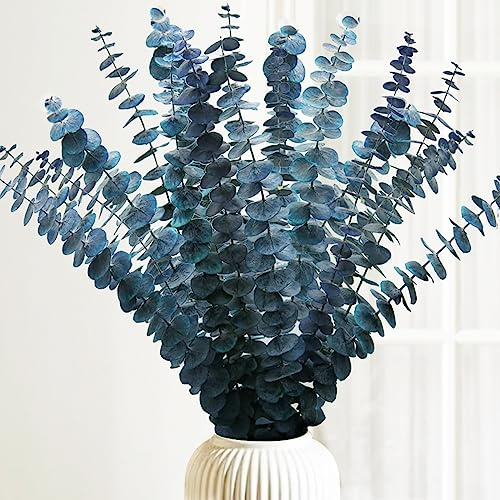 Preserved Dried Eucalyptus Stems 16-17 inch Natural Eucalyptus Plants Blue Green Live Eucalyptus Plants Real Eucalyptus Branches for Shower Spa Blue Dried Flowers for Filling