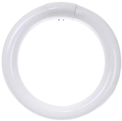 Sunlite 05027 - FC8T9/CW Circular T9 Fluorescent Tube Light Bulb