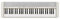 Casio CT-S1WE CASIOTONE Piano-Keyboard mit 61 anschlagdynamischen Tasten, weiß