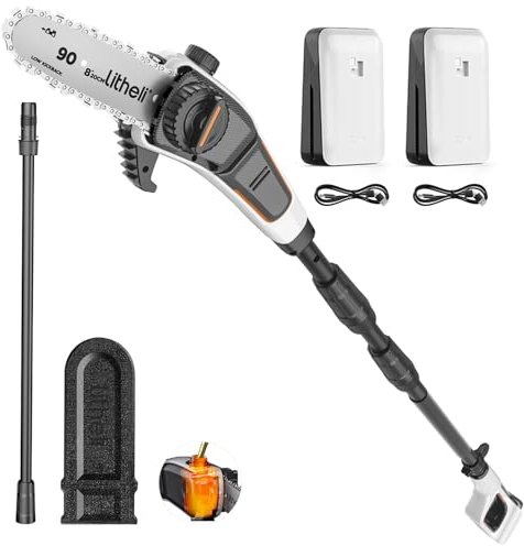 Litheli Élagueuse à batterie, scie d'élagage télescopique pour couper et élaguer des branches (2 x 2,0 Ah, vitesse de la chaîne 8 m/s, longueur de lame 20 cm, 140 ml lubrification automatique de la