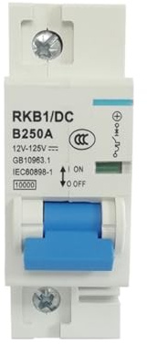 Strömbrytare 1P 2P 12V 24V DC 36V 48V 60V 72V 96V 120V Solbatteri Automatisk husbilsbatteribrytare 80A 100A 125A 150A 200A 250A (80A)