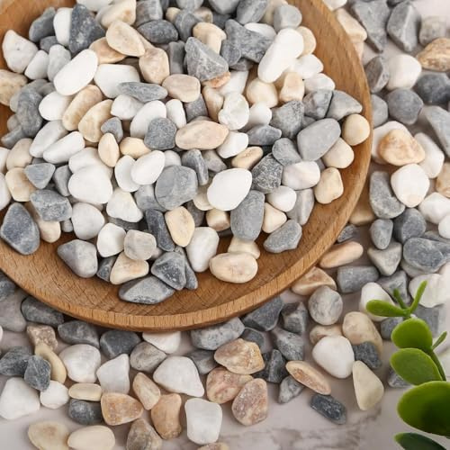Piedras decorativas, piedras de río para plantas, piedras pulidas para acuario, suculentas, pequeñas piedras decorativas para jarrones, piedras decorativas de grava decorativa, piedras naturales para