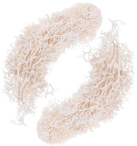 Veemoon Muschio Conservato Bianco 50g, Materiale Floreale per Decorazioni Fai da Te, Accessorio per Bouquet da Sposa, Giardino, Centrotavola e Terrari