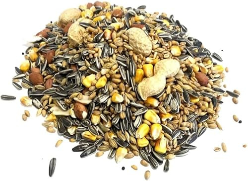 Squirrel Mixture 500g Premium Wild Life Food Garden Seed Feed SMW
