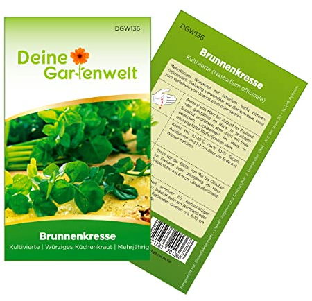 Brunnenkresse Kultivierte Samen - Nasturtium officinale - Brunnenkressesamen - Gemüsesamen - Saatgut für 1.000 Pflanzen