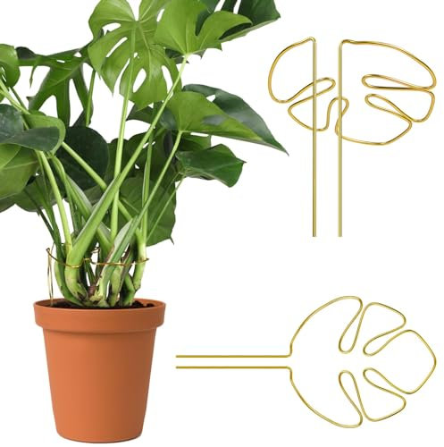 Hebterrka 2 Stück Monstera Pflanzstütze Einzigartiger Monstera förmiger Pflanzenstützring Pflanzenstützpfähle für Außen und Zimmerpflanzen (Gold)
