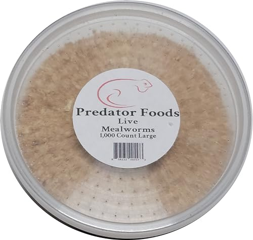 Predator Foods Bulk Live Mealworms - 1,000 Count (Large - ~.75)