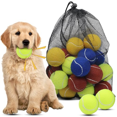 Magicorange Dog Tennis Balls, 20 Pack 2.5 inch Squeaky Tennis Balls
