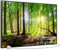 STEINFELD Bild Infrarotheizung mit Thermostat | Made in Germany | viele Motive 350-1200 Watt Rahmen schwarz (600W, 067 Wald Panorama)