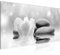 Runa Art Wandbild Blumen Tulpen 1 Teilig 100 x 40 cm Modern Bild auf Vlies Leinwand Steine Wohnzimmer Schwarz Weiss 506012c