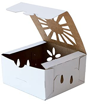 Sustainable Produce & Microgreens Box, Container - 1 Pint Capacity Size - 285 Pack - Recyclable, Reversible - Vegetables, Leaf Lettuce, Microgreens