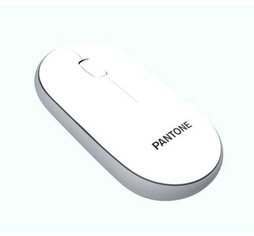 Celly Pantone Mouse Silenzioso, Mouse Ottico Wireless con Dongle Integrato, Design Elegante e Leggero, Mouse USB Portatile Compatibile con PC e MAC, Bianoo